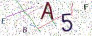 圖片的 CAPTCHA
